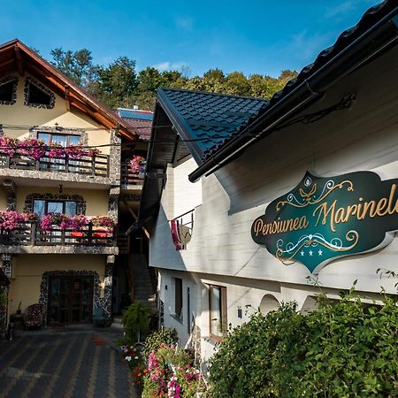 Pensiunea Marinela Sighetu Marmaţiei Exterior foto