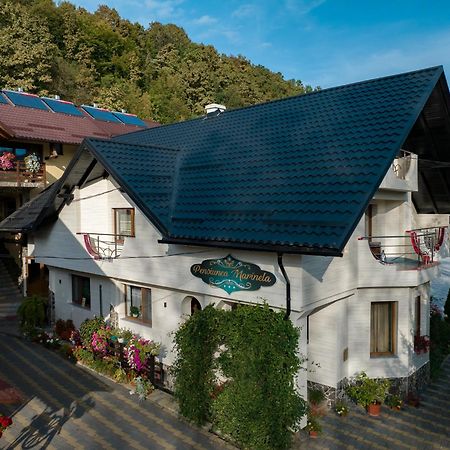 Pensiunea Marinela Sighetu Marmaţiei Exterior foto