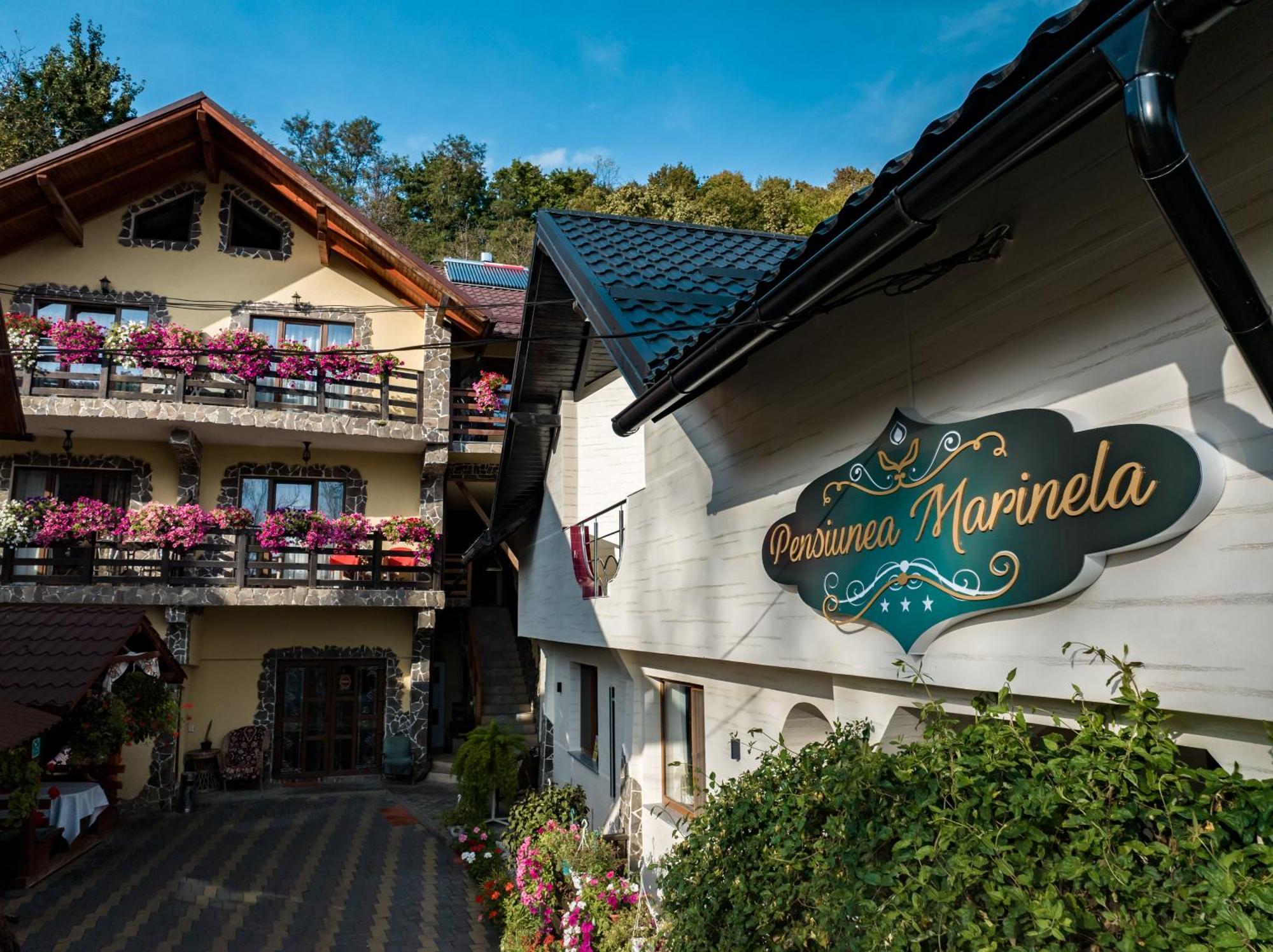 Pensiunea Marinela Sighetu Marmaţiei Exterior foto