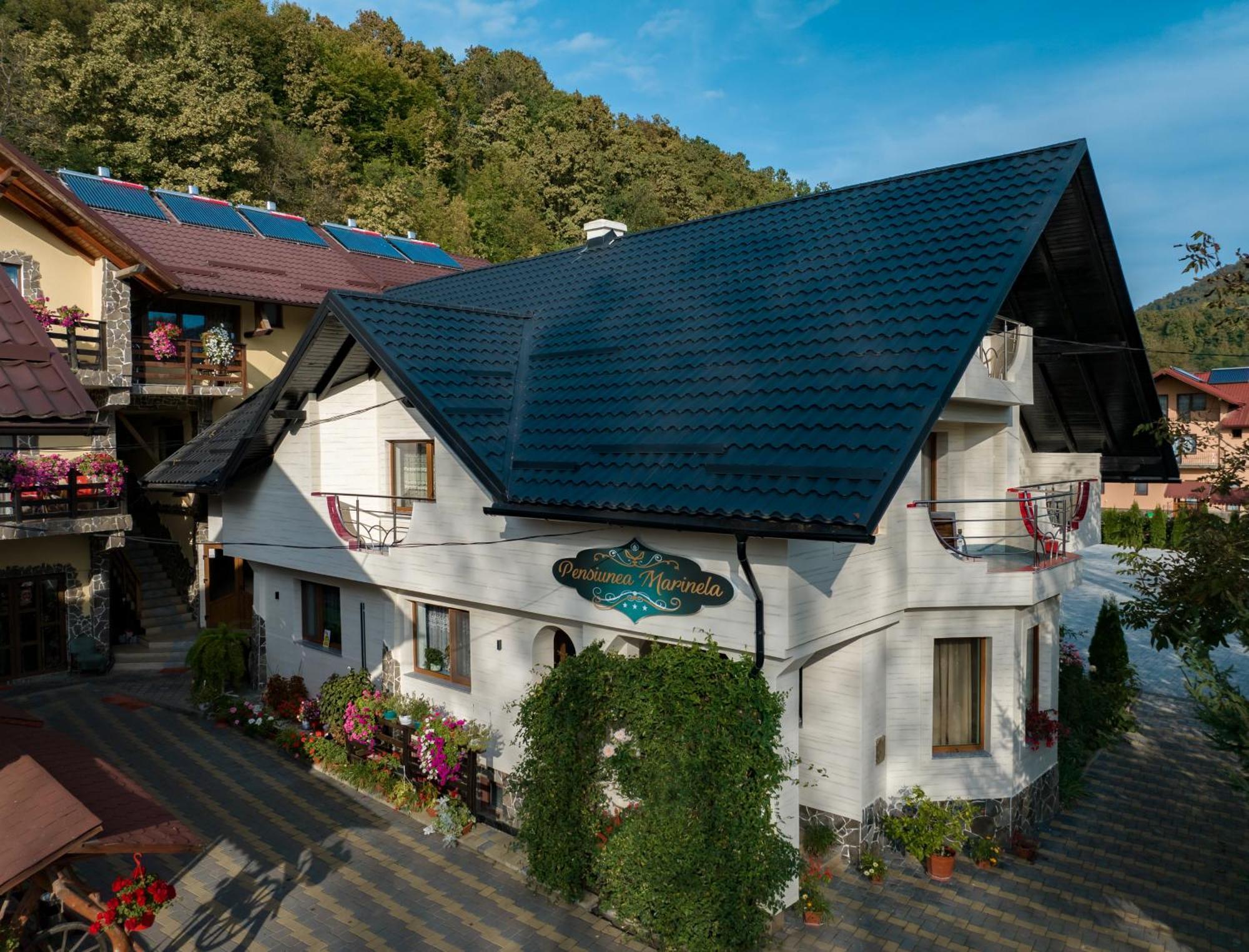 Pensiunea Marinela Sighetu Marmaţiei Exterior foto