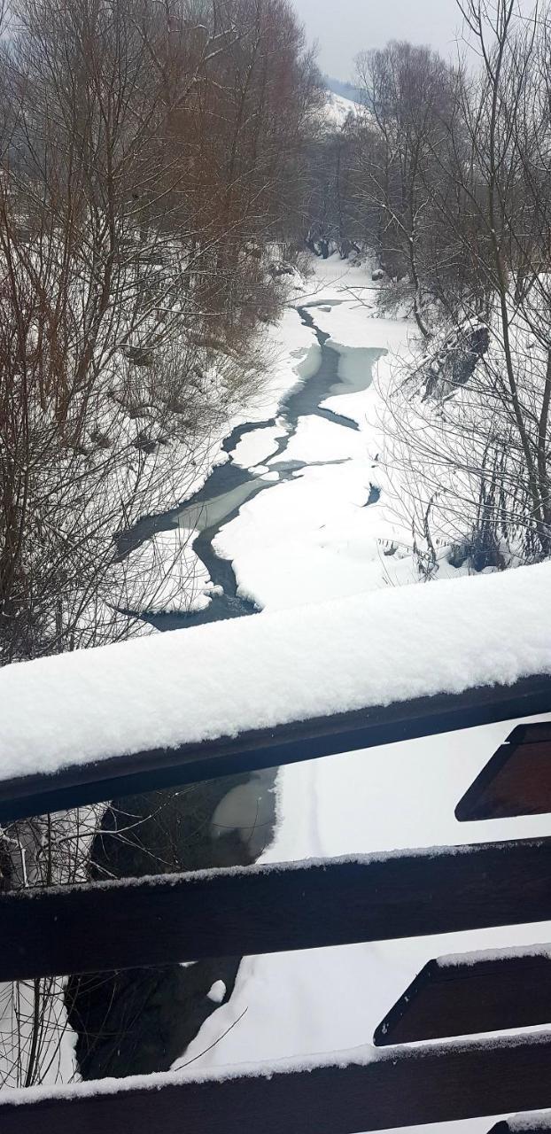 Pensiunea Marinela Sighetu Marmaţiei Exterior foto